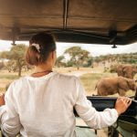 faire un safari en Afrique du Sud