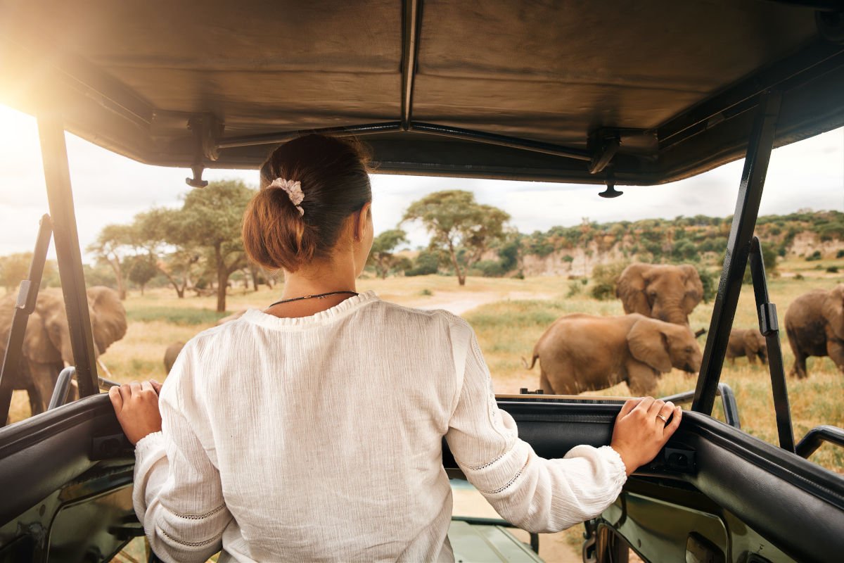 faire un safari en Afrique du Sud