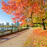 Top 05 des plus beaux endroits de Vancouver