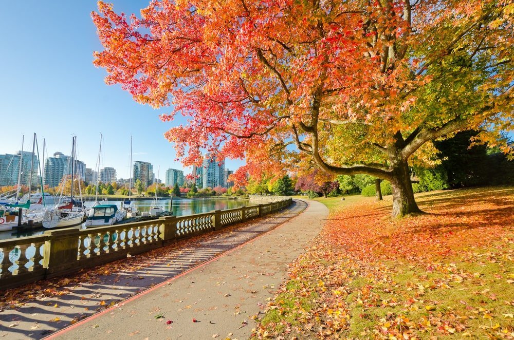 Top 05 des plus beaux endroits de Vancouver