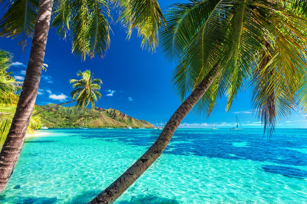 voyage tahiti